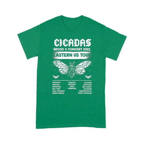 Divesart - Cicadas Brood x Concert 2021 Eastern US Tour Test Standard T-shirt