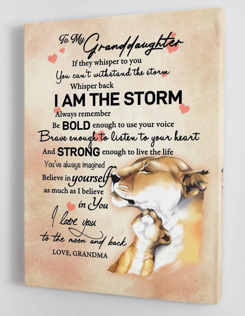 To My Granddaughter - From Grandma - Framed Canvas Gift GMD031 - DivesArt LLC